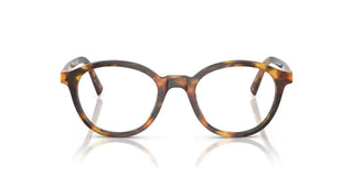 Miu Miu 0MU 02WV women Havana Pantos Eyeglasses