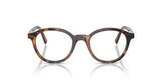 Miu Miu 0MU 02WV women Havana Pantos Eyeglasses