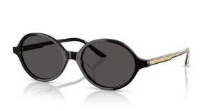 Oliver Peoples 2000C OV 5574SU women Black Oval Sunglasses