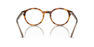 Arnette ALLYE AN 7242 men Havana Round Eyeglasses