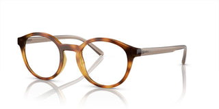 Arnette ALLYE AN 7242 men Havana Round Eyeglasses