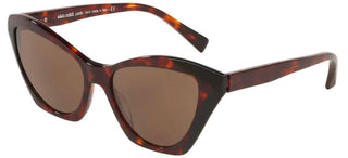 Alain Mikli AMBRETTE 0A05056 women Havana Cat Eye Sunglasses