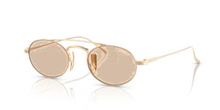 Giorgio Armani AR 6161T men Rose gold Oval Sunglasses