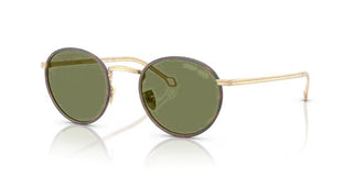 Giorgio Armani AR 6163J men Gold Round Sunglasses