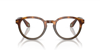 Giorgio Armani AR 7248 men Havana Geometric Eyeglasses