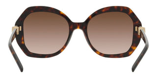 Giorgio Armani AR 8180 women Havana Oversize Sunglasses