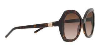 Giorgio Armani AR 8180 women Havana Oversize Sunglasses