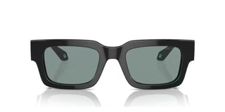 Giorgio Armani AR 8184U men Black Geometric Sunglasses