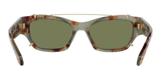 Giorgio Armani AR 8185U women Havana Cat Eye Sunglasses