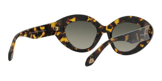 Giorgio Armani AR 8188 women Havana Cat Eye Sunglasses