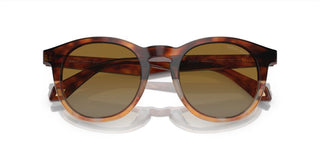 Giorgio Armani AR 8192 men Havana Geometric Sunglasses