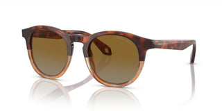 Giorgio Armani AR 8192 men Havana Geometric Sunglasses