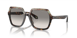 Giorgio Armani AR 8193U women Havana Squared Sunglasses