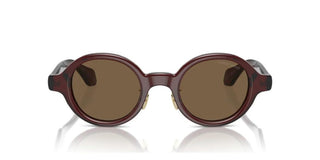 Giorgio Armani AR 8205 men Brown Oval Sunglasses