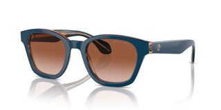 Giorgio Armani AR 8207 men Blue Pantos Sunglasses