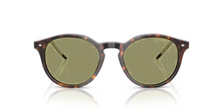 Giorgio Armani AR 8211 men Havana Pantos Sunglasses