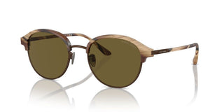 Giorgio Armani AR 8215 men Brown Pantos Sunglasses