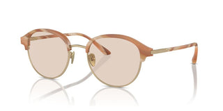 Giorgio Armani AR 8215 men Pink Pantos Sunglasses