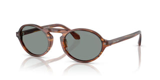 Giorgio Armani AR 8219U men Brown Round Sunglasses