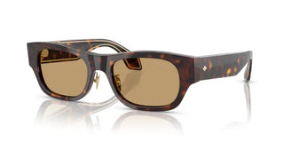 Giorgio Armani AR 8224 men Brown Rectangle Sunglasses