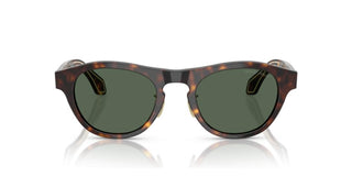 Giorgio Armani AR 8225 men Brown Squared Sunglasses