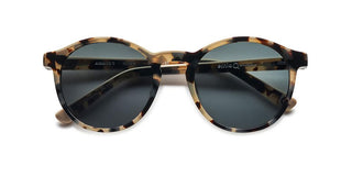 Etnia Barcelona AVINYO 3 unisex Havana Pantos Sunglasses