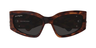 Balenciaga BB0321S women Havana Cat Eye Sunglasses