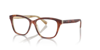 Brunello Cucinelli BC 3004 women Havana Butterfly Eyeglasses