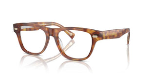 Brunello Cucinelli BC 3005 men Havana Squared Eyeglasses