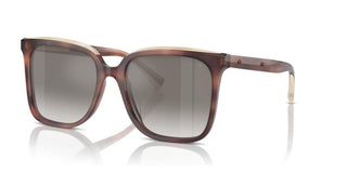 Brunello Cucinelli BC 4007S women Havana Squared Sunglasses