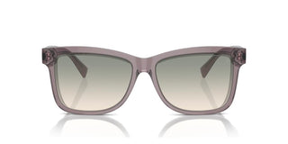 Brunello Cucinelli BC 4009S women Violet Butterfly Sunglasses