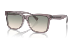 Brunello Cucinelli BC 4009S women Violet Butterfly Sunglasses