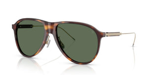 Brunello Cucinelli BC 4011S men Havana Pilot Sunglasses