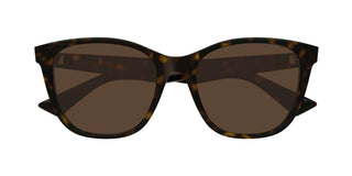 Bottega Veneta BV1151S women Havana Cat Eye Sunglasses