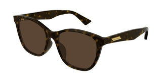 Bottega Veneta BV1151S women Havana Cat Eye Sunglasses