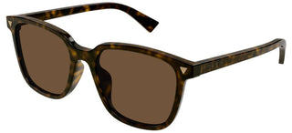 Bottega Veneta BV1255SA unisex Havana Squared Sunglasses