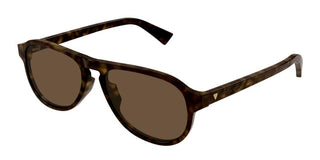 Bottega Veneta BV1292S men Havana Oval Sunglasses