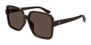 Bottega Veneta Bv1317s Women Havana Squared Sunglasses