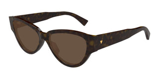 Bottega Veneta Bv1319s Women Havana Cat Eye Sunglasses