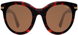 Cazal CAZAL 8500 unisex Havana Cat Eye Sunglasses