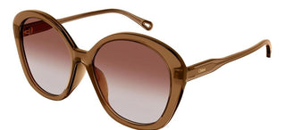 Chloé CH0081S women Brown Pantos Sunglasses