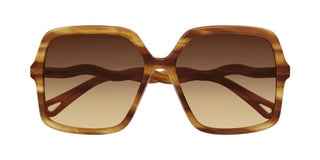 Chloé CH0086S women Havana Oversize Sunglasses