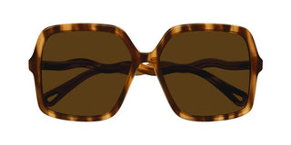 Chloé CH0086S women Havana Oversize Sunglasses