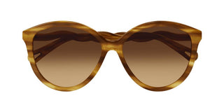 Chloé CH0087S women Havana Pantos Sunglasses