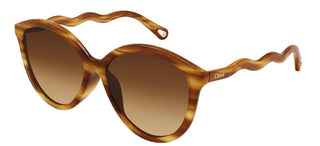 Chloé CH0087S women Havana Pantos Sunglasses