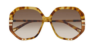 Chloé CH0105S women Havana Oversize Sunglasses