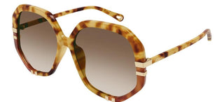 Chloé CH0105S women Havana Oversize Sunglasses