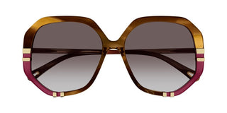 Chloé CH0105S women Brown Oversize Sunglasses