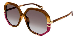 Chloé CH0105S women Brown Oversize Sunglasses