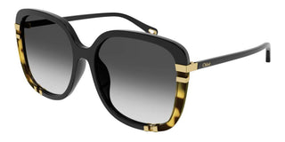 Chloé CH0106SA women Black Oversize Sunglasses